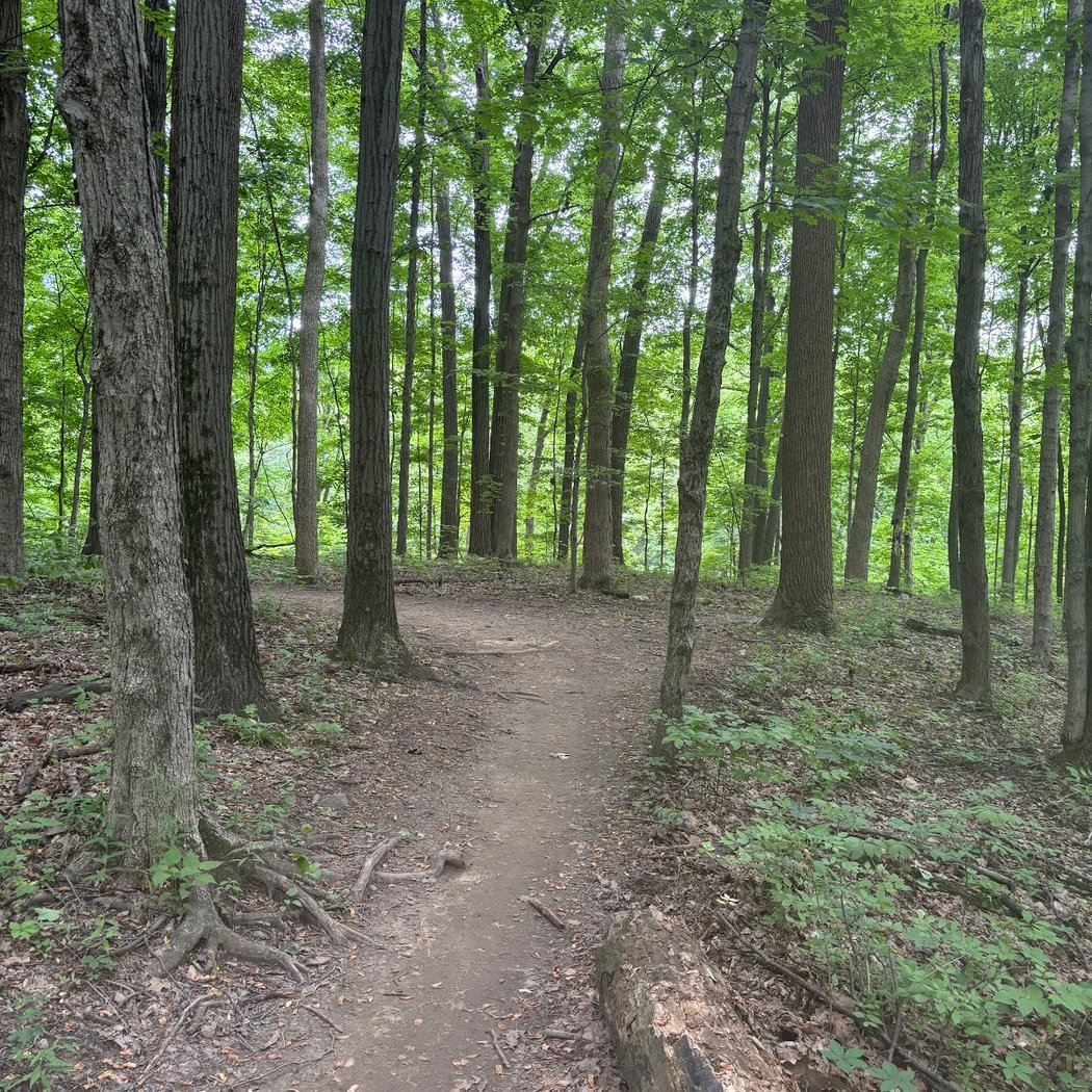Fort Harrison State Park 2